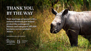 New Ad Campaign Spotlights a Natural Diamond’s Positive Impact on Vulnerable Communities