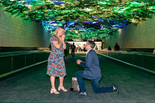 Delta Pulls Out All the Stops to Assist Frequent Flyer With Memorable Proposal
