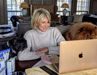 Martha Stewart’s French Bulldogs Wear Diamond Collars for Dog Treat Launch