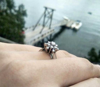 Baby Octopus Leads Divers to Lost Engagement Ring; Smartest Invertebrates Love Bling