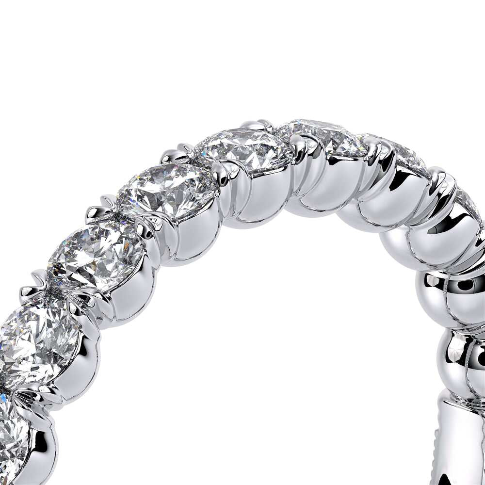Renaissance-954W25-Platinum
