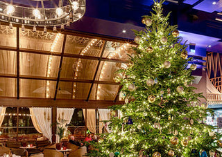 Spanish Hotel’s $15MM Gem-Adorned Christmas Tree Is the Most Expensive in the World