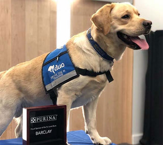 St. Louis Blues Mascot Earns First-Ever Stanley ‘Pup’ Championship Collar
