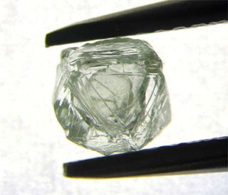 Year in Review: These Are the Rough Diamonds That Rocked Our World in 2019