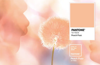 Velvety Orange-Pink ‘Peach Fuzz’ Named Pantone’s 2024 Color of the Year