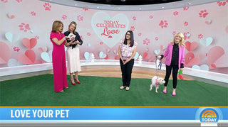 TODAY Hosts Fabricate ‘Pet’ Segment So Veterinarian Can Finally Get Her Ring