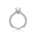 Lumino 801Ovd4 20 Platinum Oval
