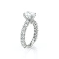 Lumino 801Ovd4 30 Platinum Oval