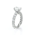 Lumino 801Ovd4 35 Platinum Oval