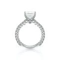Lumino 801Prd4 20 Platinum Princess