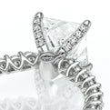 Lumino 801Prd4 20 Platinum Princess