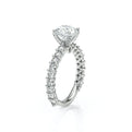 Lumino 801Rd4 25 Platinum Round