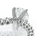 Lumino 801Rd4 25 Platinum Round