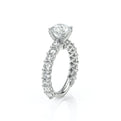 Lumino 801Rd4 30 Platinum Round