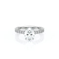 Lumino 801Ovd4 20 Platinum Oval