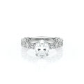 Lumino 801Ovd4 30 Platinum Oval