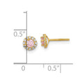 14k Madi K Polished Pink and Clear CZ Screwback Post Earrings