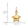 14k 3D Puffed Star Charm