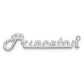 14K White Gold Polished Harlow Solid Font Underlined Name Plate