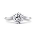 Split Shank Round Diamond Cathedral Style Engagement Ring in 14K White Gold (Semi-Mount)