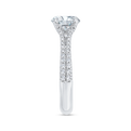 Euro Shank Diamond Halo Engagement Ring in 14K White Gold (Semi-Mount)