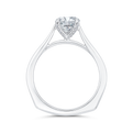 Euro Shank Diamond Engagement Ring in 14K White Gold (Semi-Mount)