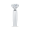 14K White Gold Diamond Engagement Ring (Semi-Mount)