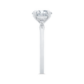 14K White Gold Diamond Engagement Ring (Semi-Mount)