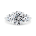 Round Diamond Three-Stone Plus Engagement Ring in 14K White Gold (Semi-Mount)