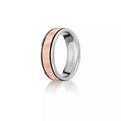 Verragio Classic Wedding Band