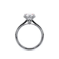 Renaissance-Sld302-Xps-Platinum Pear