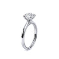 Renaissance-Sol301-R-Platinum Round