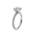 Renaissance-992P13-Platinum Princess