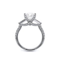 Renaissance-991P15-Platinum Princess