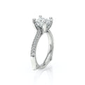 Vanguard-2204P-14K White Gold Princess