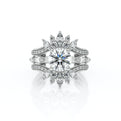 Vanguard-2205r-Platinum Round