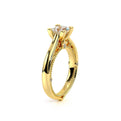 Venetian-5047p-18k Yellow Gold Princess