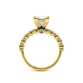 Renaissance-950P27-18K Yellow Gold Princess