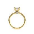 Renaissance-950P20-14K Yellow Gold Princess