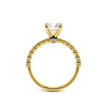 Renaissance-950R20-14K Yellow Gold Round