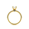 Renaissance-950OV20-14K Yellow Gold Oval