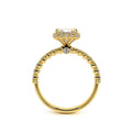 Renaissance-954P18-18K Yellow Gold Princess
