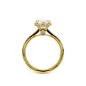 Renaissance-Sld302-Xps-18k Yellow Gold Pear