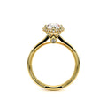 Renaissance-Sol302-Xps-18k Yellow Gold Pear