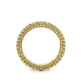 Eterna-2023-R-25-14k Yellow Gold