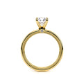 Tradition-120R4-S-18K Yellow Gold Round