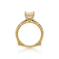 Vanguard-2203OV-18K Yellow Gold Oval