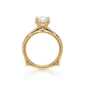 Vanguard-2203R-14K Yellow Gold Round