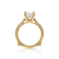 Vanguard-2204P-18K Yellow Gold Princess