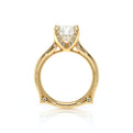 Vanguard-2207r-S-14k Yellow Gold Round